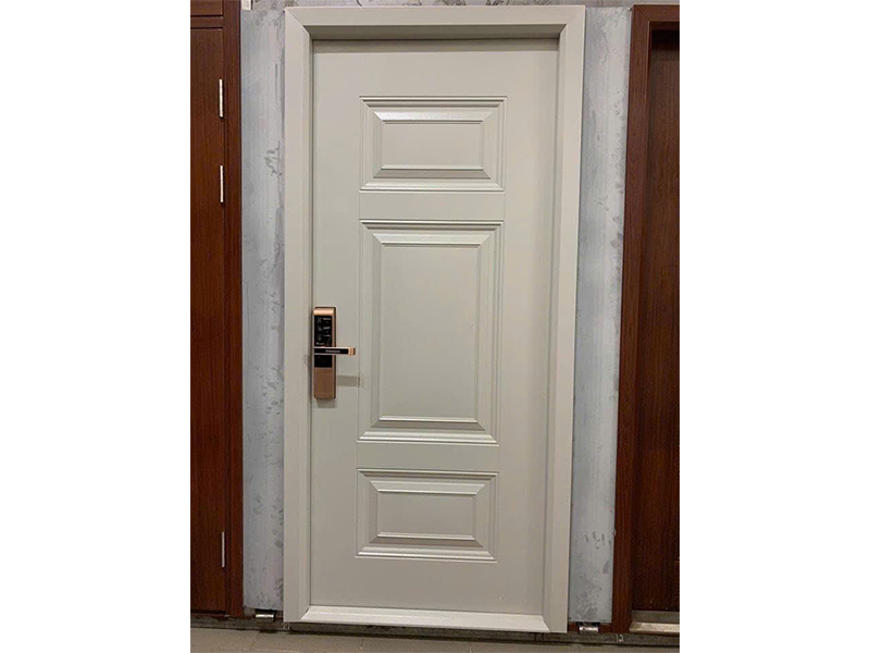 Cửa thép 1 cánh 24